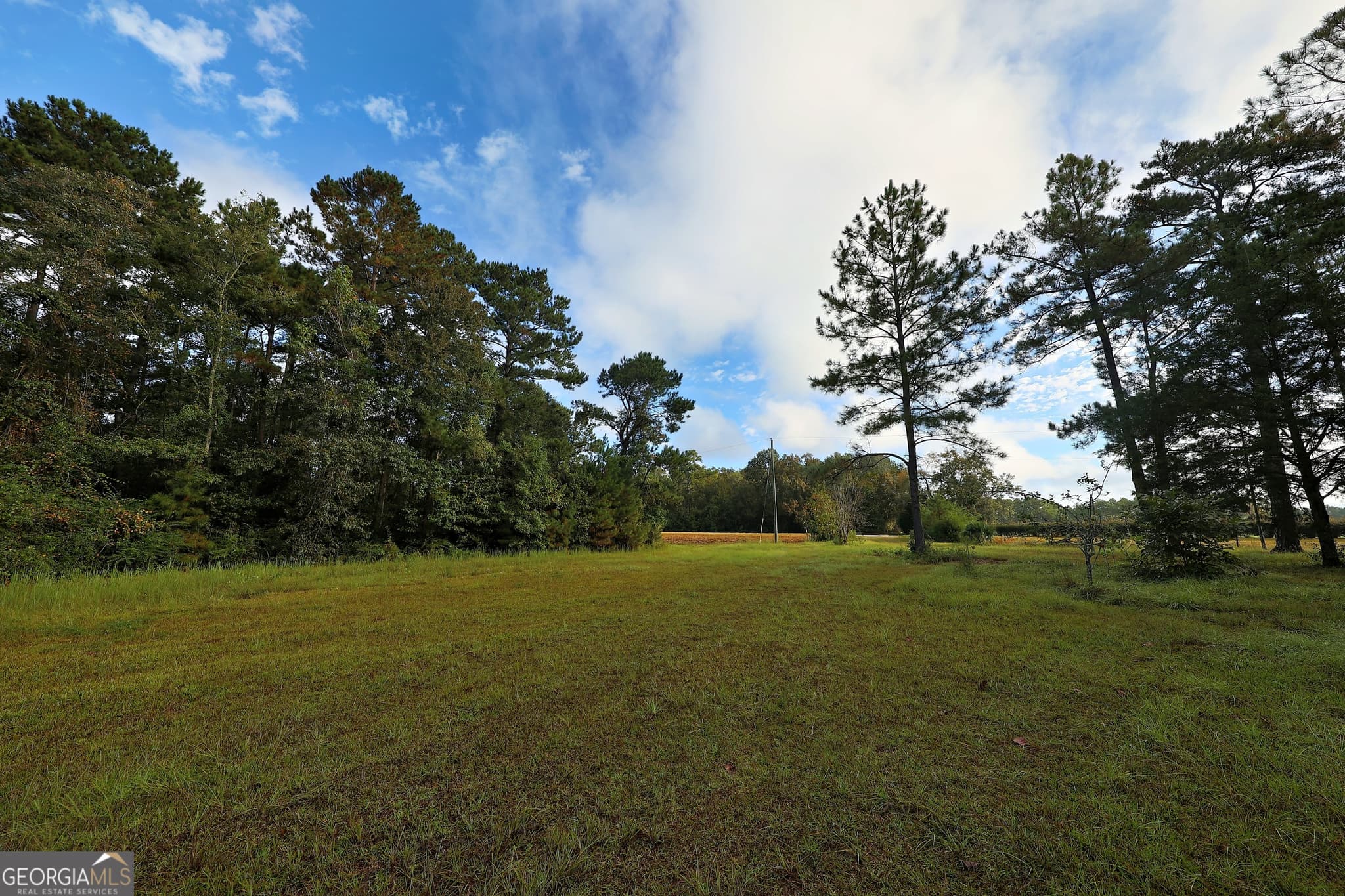 3 bedroom, 2 bathroom, 1,440 sq ft single family residence for sale at 23481 N US Hwy 19 (7.46 ACRES), Ochlocknee, GA 31773 — photo 10