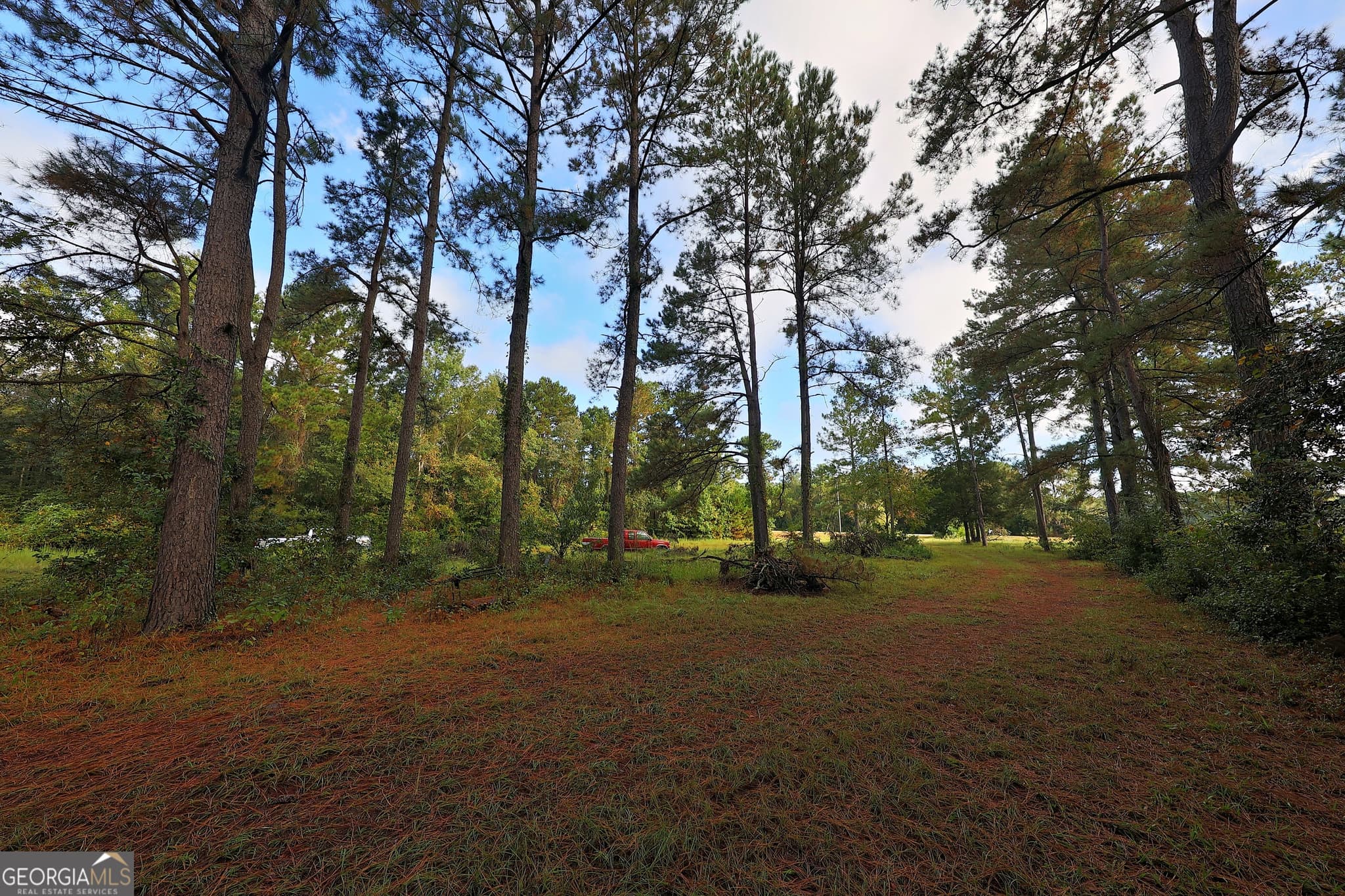 3 bedroom, 2 bathroom, 1,440 sq ft single family residence for sale at 23481 N US Hwy 19 (7.46 ACRES), Ochlocknee, GA 31773 — photo 8