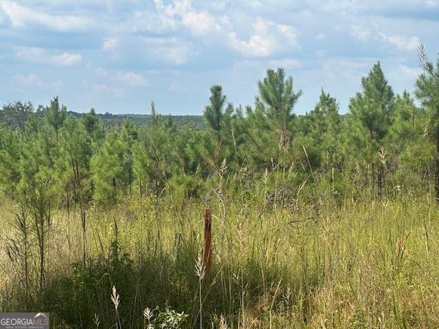 agriculture for sale at 0 Cook Road TRACT #9, Monticello, GA 31064 — photo 2