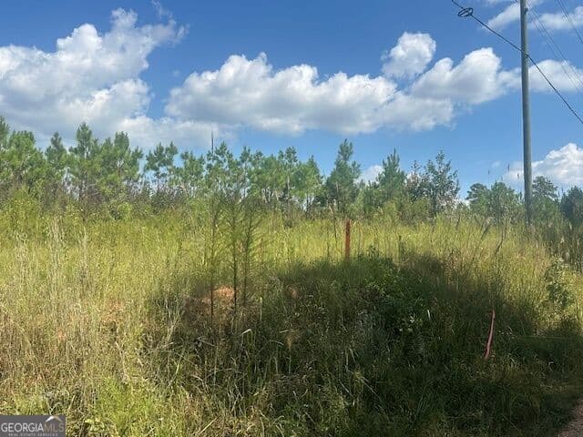 agriculture for sale at 0 Cook Road TRACT #9, Monticello, GA 31064 — photo 3