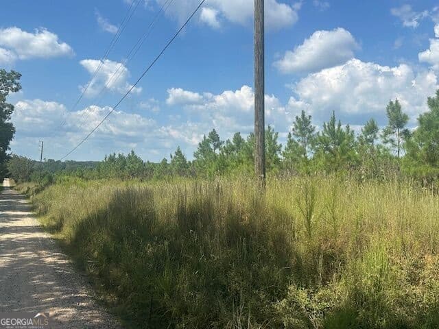 agriculture for sale at 0 Cook Road TRACT #9, Monticello, GA 31064 — photo 5