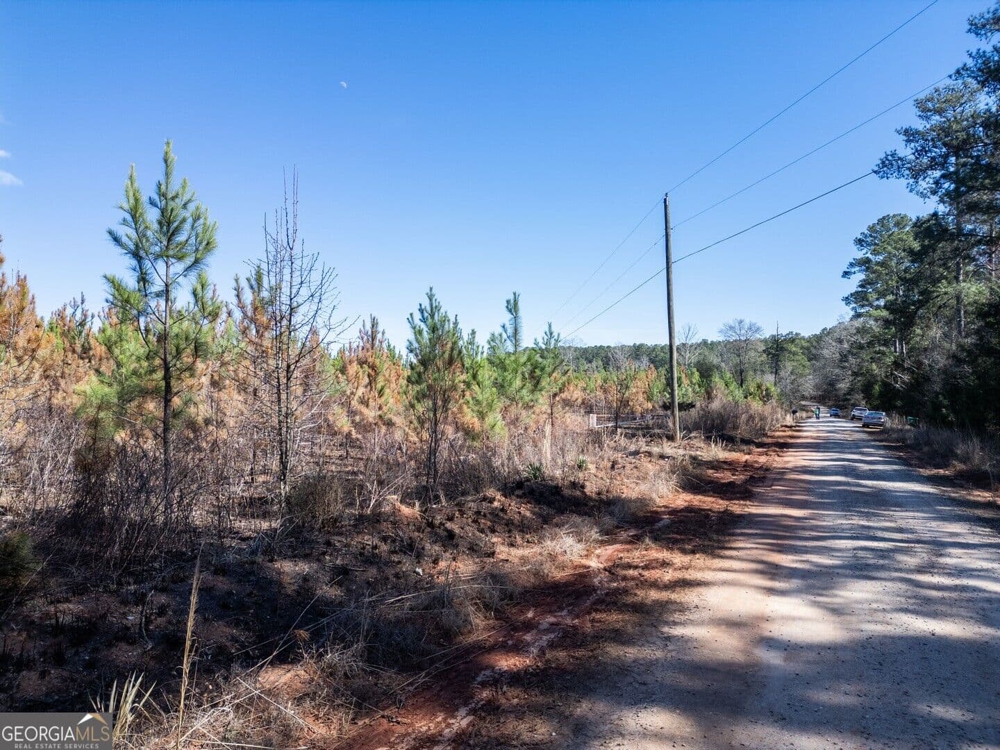 agriculture for sale at 0 Cook Road TRACT #9, Monticello, GA 31064 — photo 9