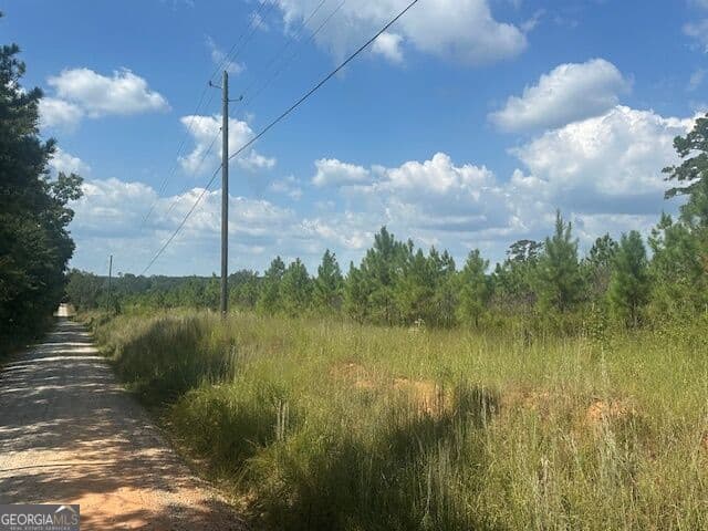 agriculture for sale at 0 Cook Road TRACT #9, Monticello, GA 31064 — photo 4