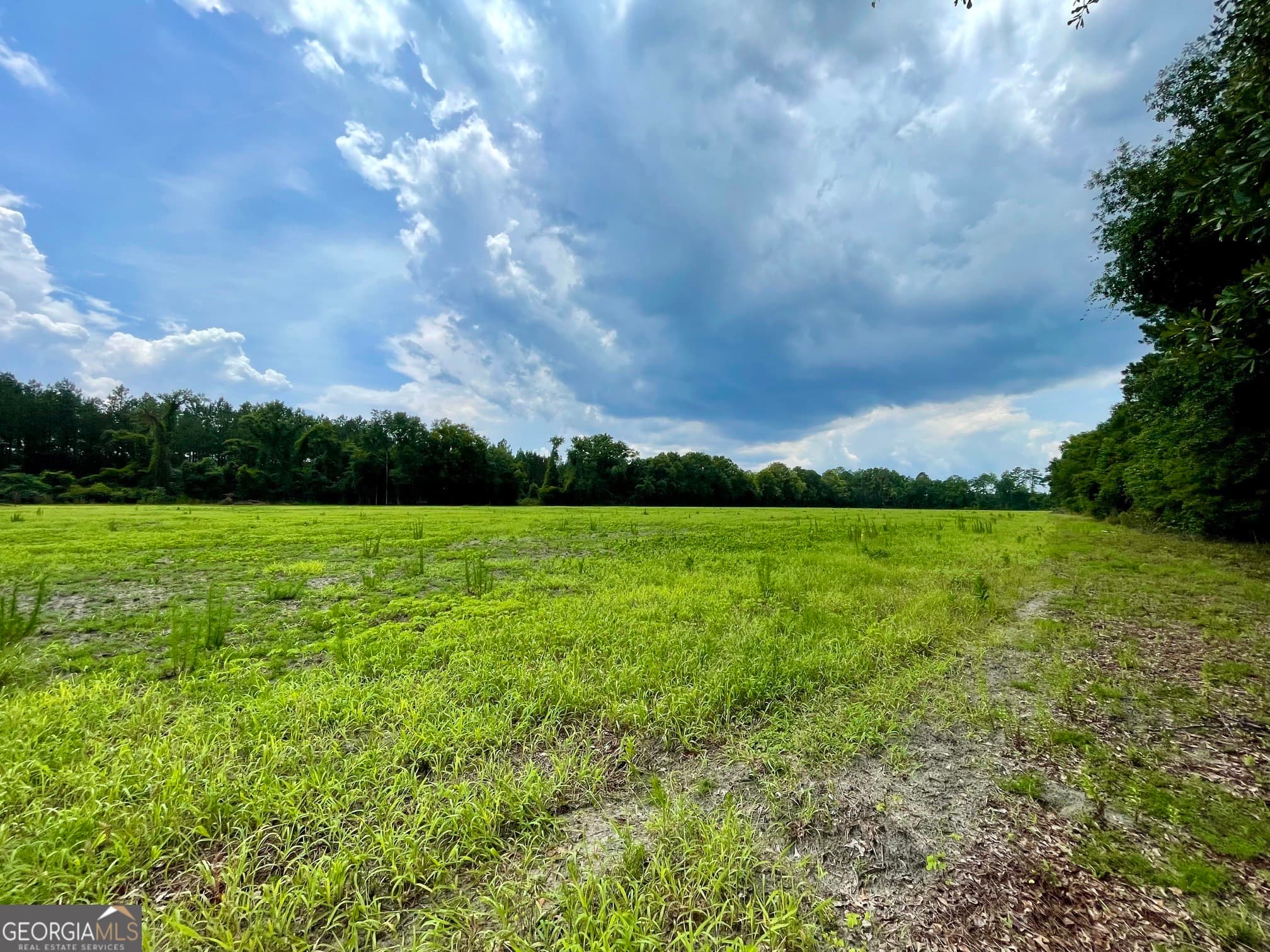 residential lot for sale at 84 Weller's Way, Brooklet, GA 30415 — photo 7