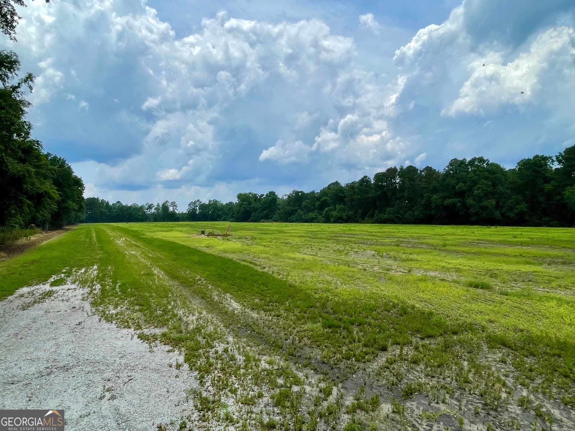 residential lot for sale at 84 Weller's Way, Brooklet, GA 30415 — photo 5