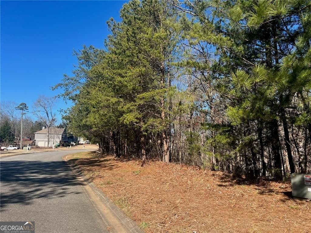 unimproved land for sale at 924 Whistler Lane 66, Canton, GA 30114 — photo 2
