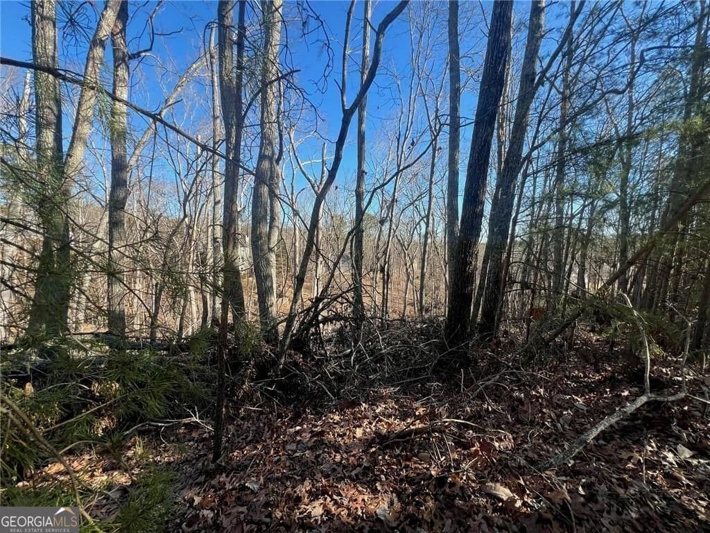 unimproved land for sale at 924 Whistler Lane 66, Canton, GA 30114 — photo 6