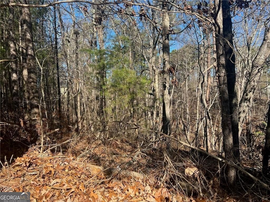 unimproved land for sale at 924 Whistler Lane 66, Canton, GA 30114 — photo 7