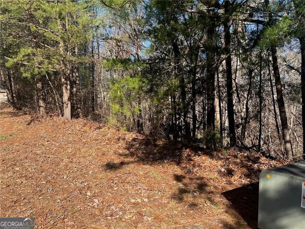 unimproved land for sale at 924 Whistler Lane 66, Canton, GA 30114 — photo 3
