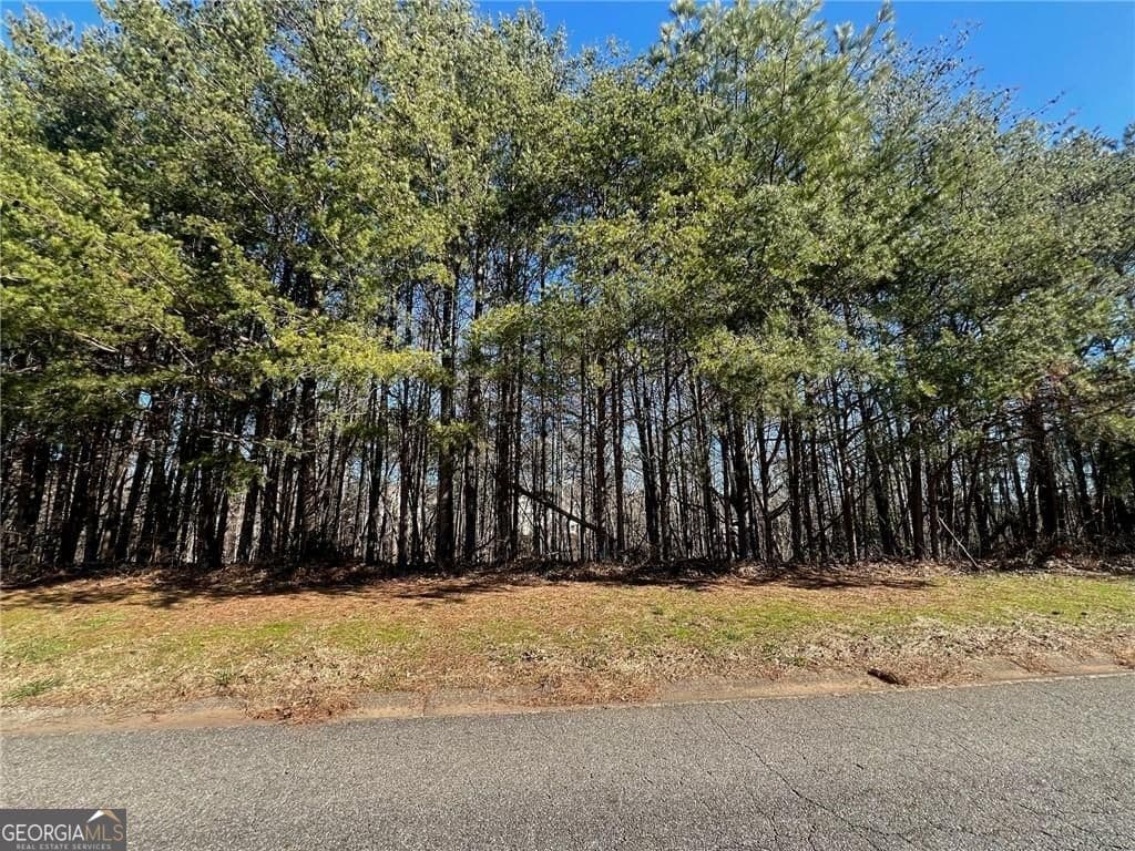 unimproved land for sale at 924 Whistler Lane 66, Canton, GA 30114 — photo 1 of 14