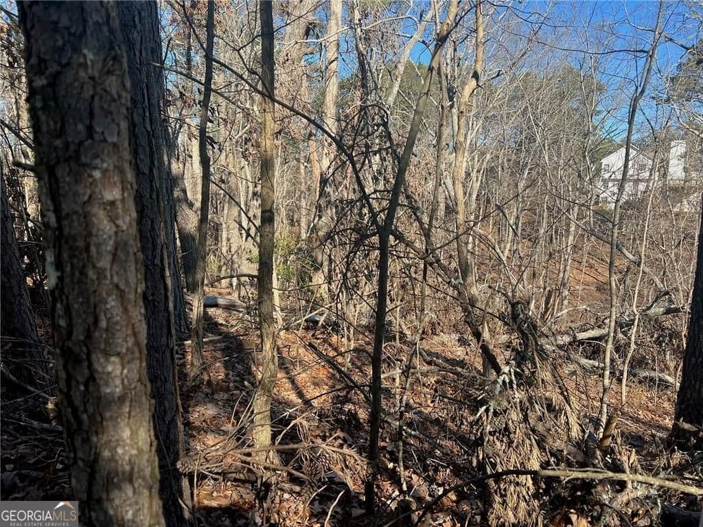 unimproved land for sale at 924 Whistler Lane 66, Canton, GA 30114 — photo 5
