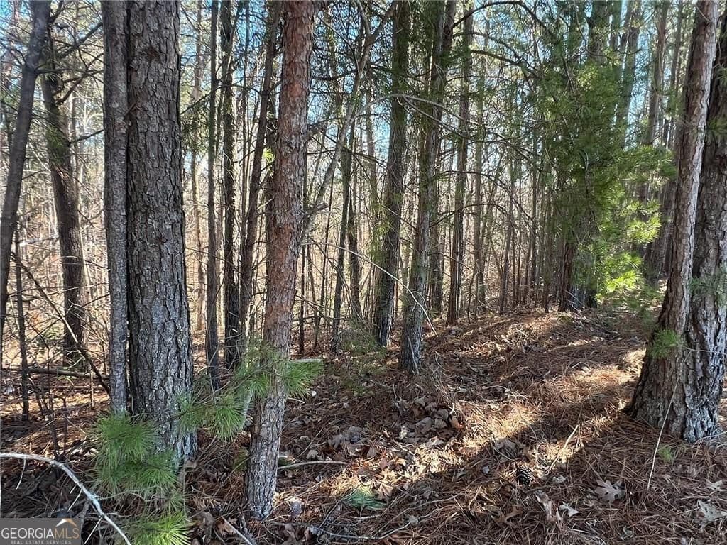unimproved land for sale at 924 Whistler Lane 66, Canton, GA 30114 — photo 9