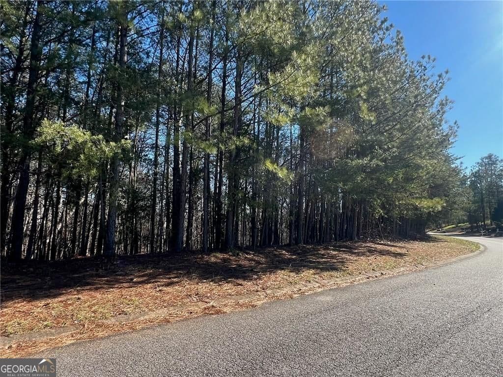 unimproved land for sale at 924 Whistler Lane 66, Canton, GA 30114 — photo 10