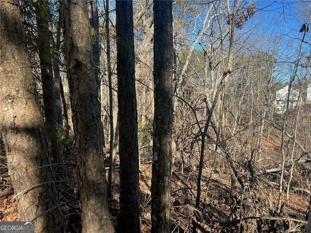 unimproved land for sale at 924 Whistler Lane 66, Canton, GA 30114 — photo 4