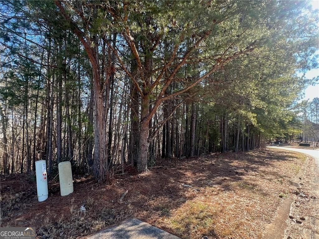 unimproved land for sale at 924 Whistler Lane 66, Canton, GA 30114 — photo 8