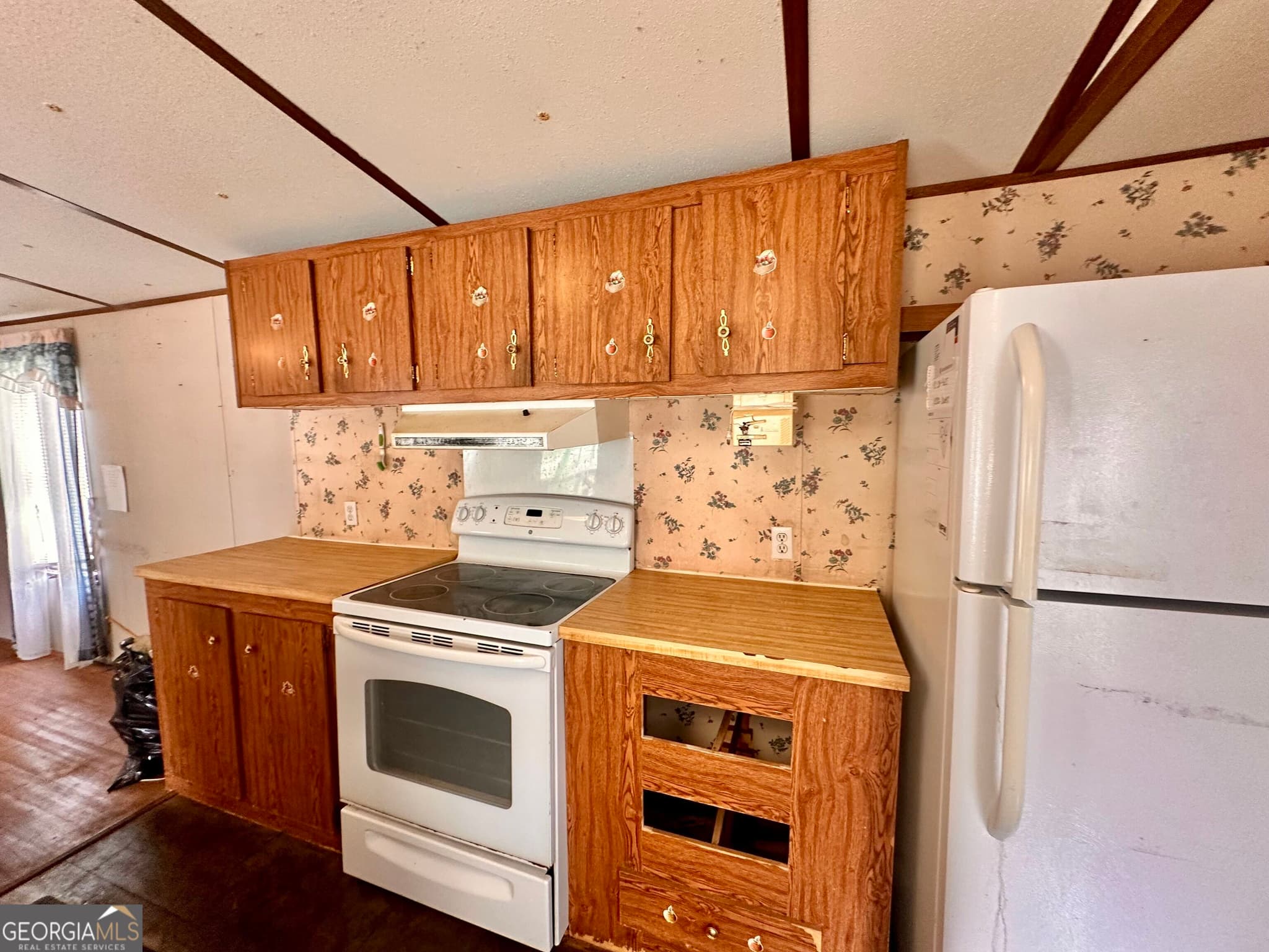 2 bedroom, 1 bathroom, 728 sq ft single family residence for sale at 6979 Oak Ridge Circle, Blackshear, GA 31516 — photo 4