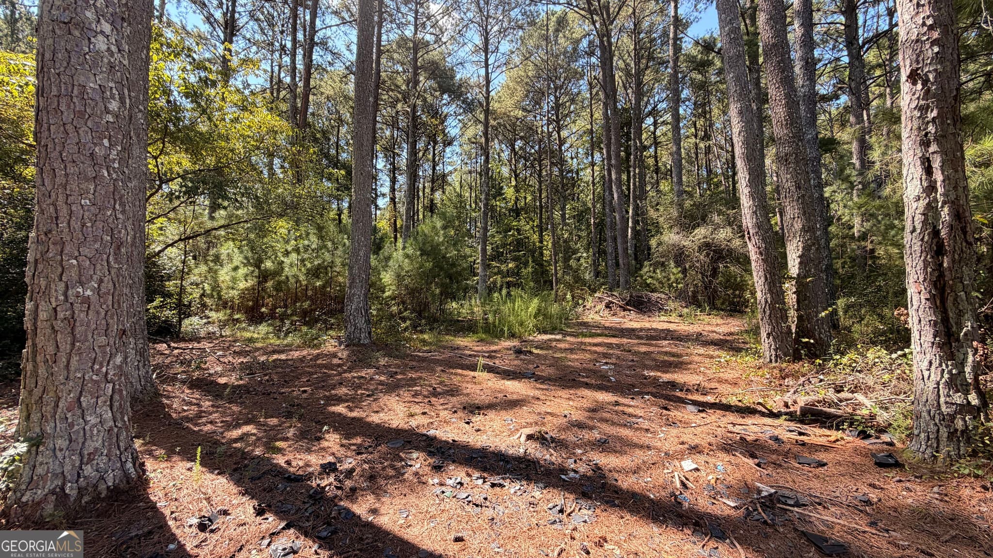 6 bedroom, 4.5 bathroom, 2,849 sq ft single family residence for sale at 2601 NE Gees Mill Road, Conyers, GA 30013 — photo 7