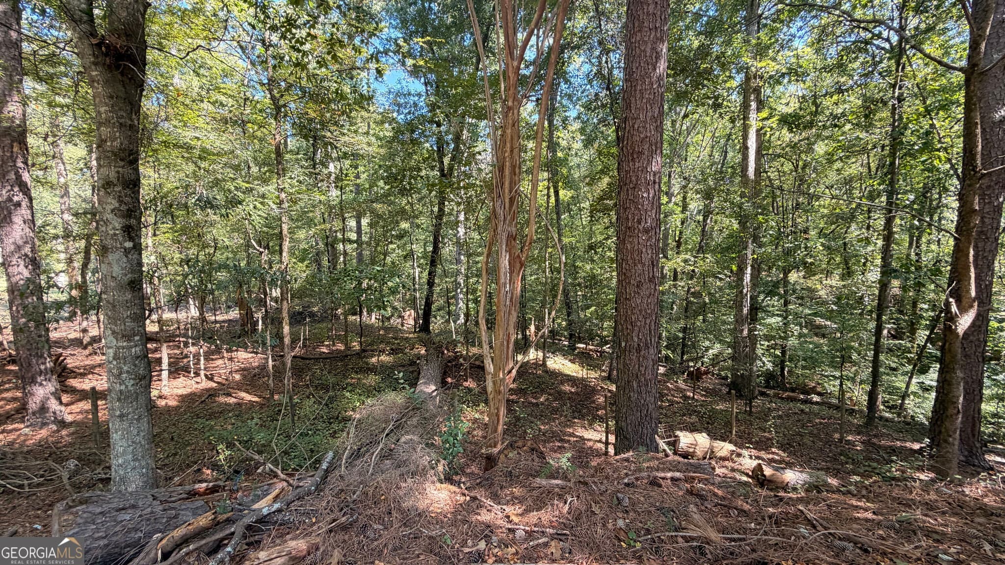 6 bedroom, 4.5 bathroom, 2,849 sq ft single family residence for sale at 2601 NE Gees Mill Road, Conyers, GA 30013 — photo 8