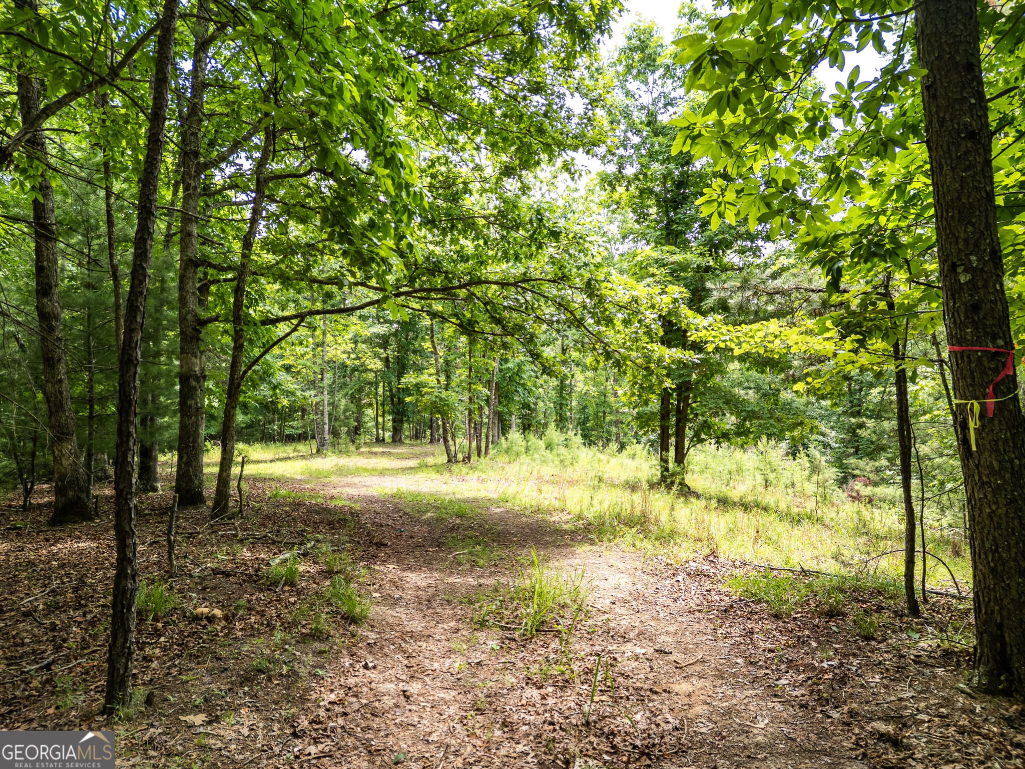 residential lot for sale at LT 2 Stormy Ridge, Brasstown, NC 28902 — photo 2