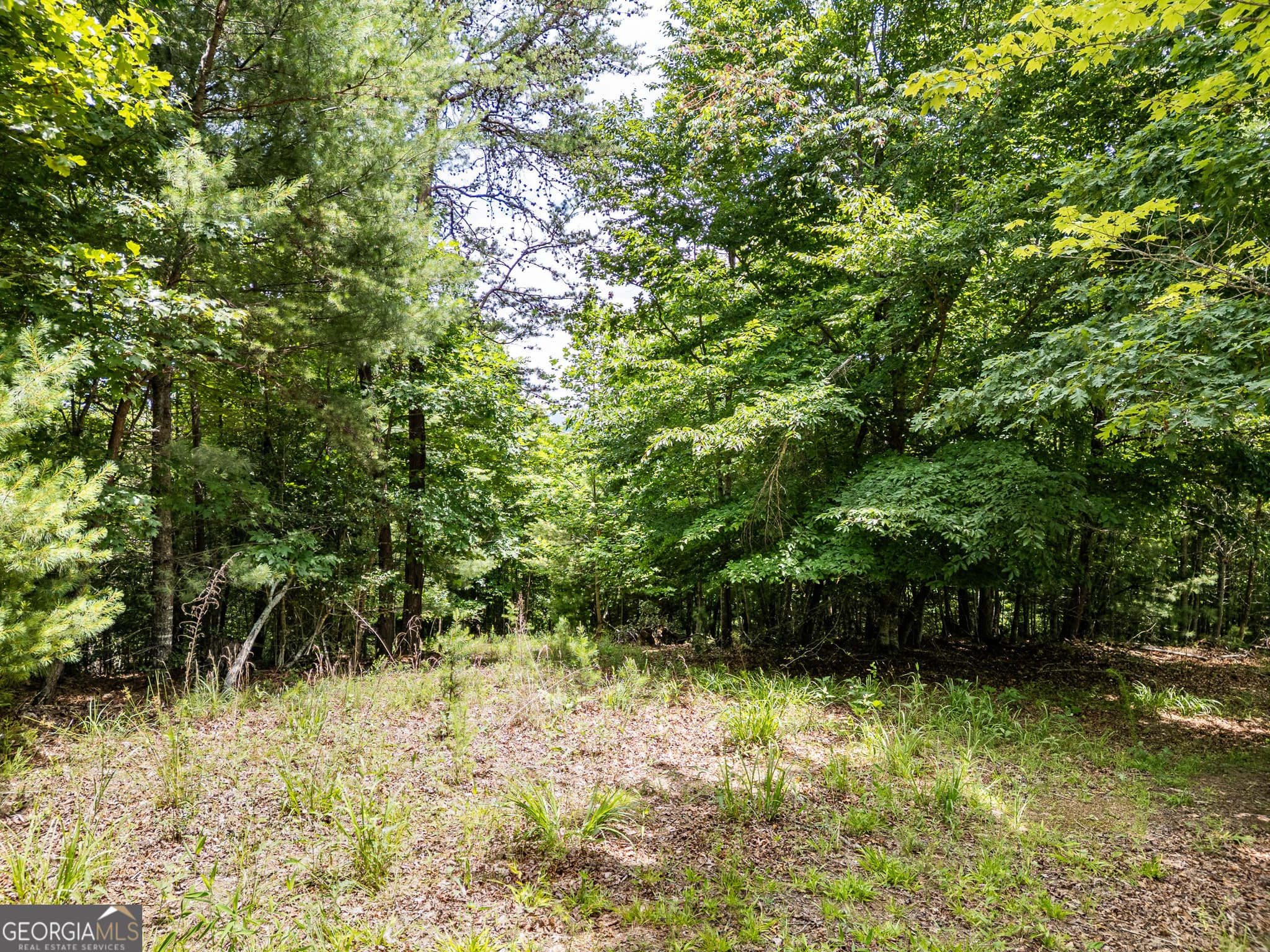 residential lot for sale at LT 2 Stormy Ridge, Brasstown, NC 28902 — photo 6
