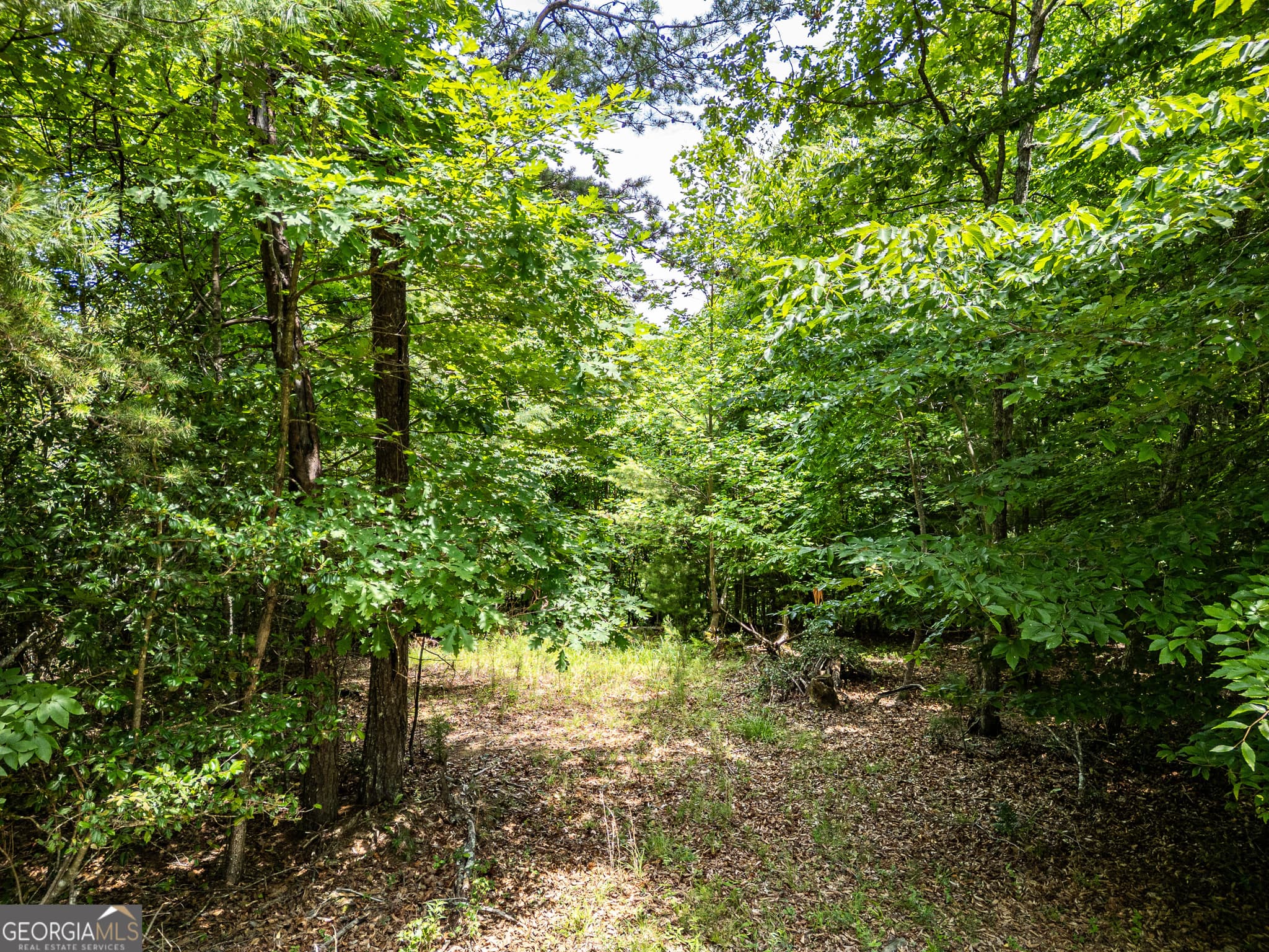 residential lot for sale at LT 2 Stormy Ridge, Brasstown, NC 28902 — photo 7