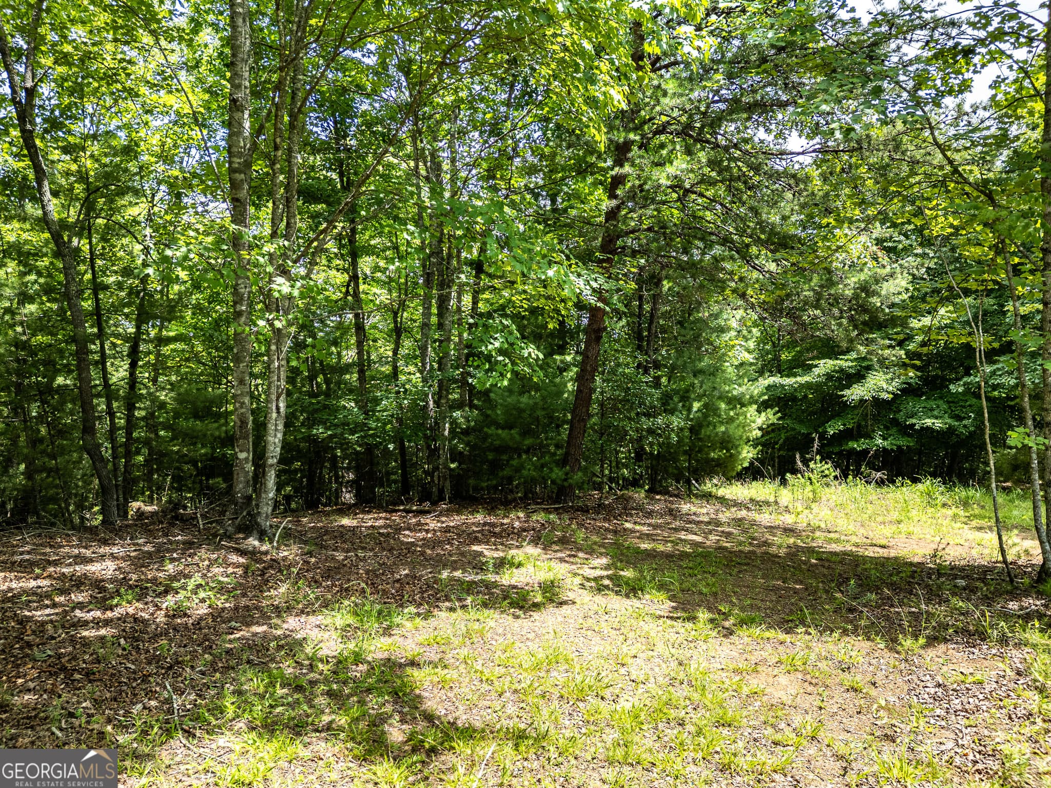 residential lot for sale at LT 2 Stormy Ridge, Brasstown, NC 28902 — photo 3