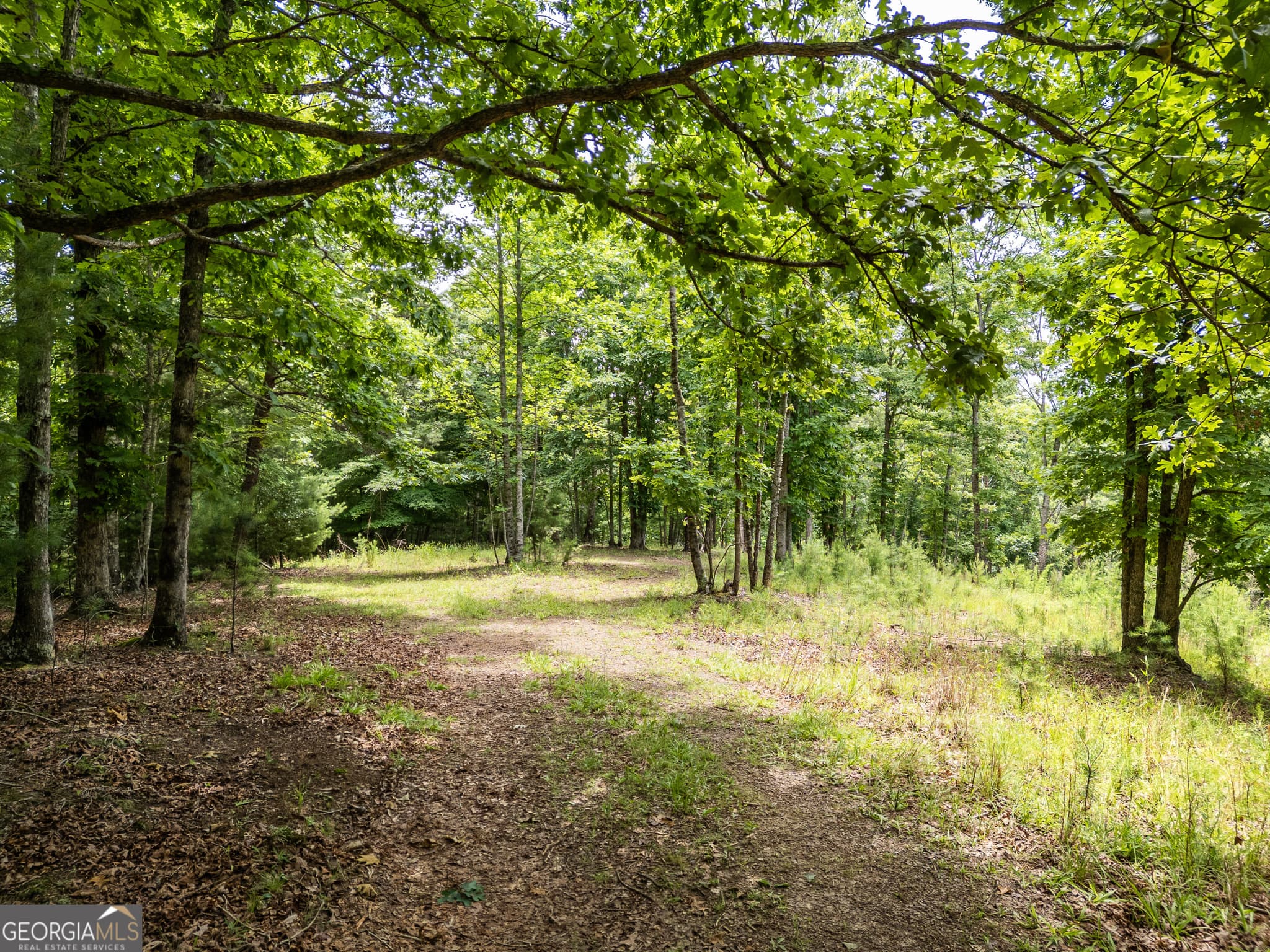 residential lot for sale at LT 2 Stormy Ridge, Brasstown, NC 28902 — photo 1 of 16