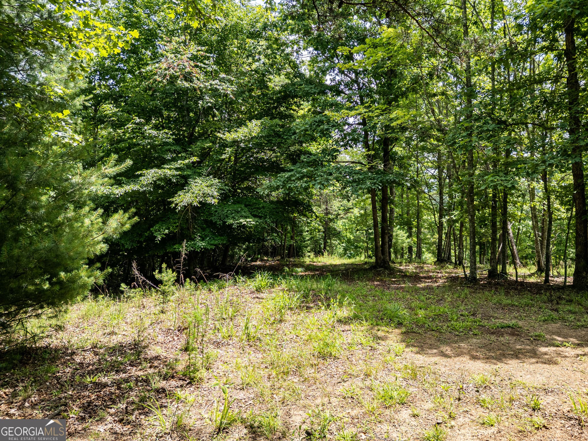 residential lot for sale at LT 2 Stormy Ridge, Brasstown, NC 28902 — photo 5