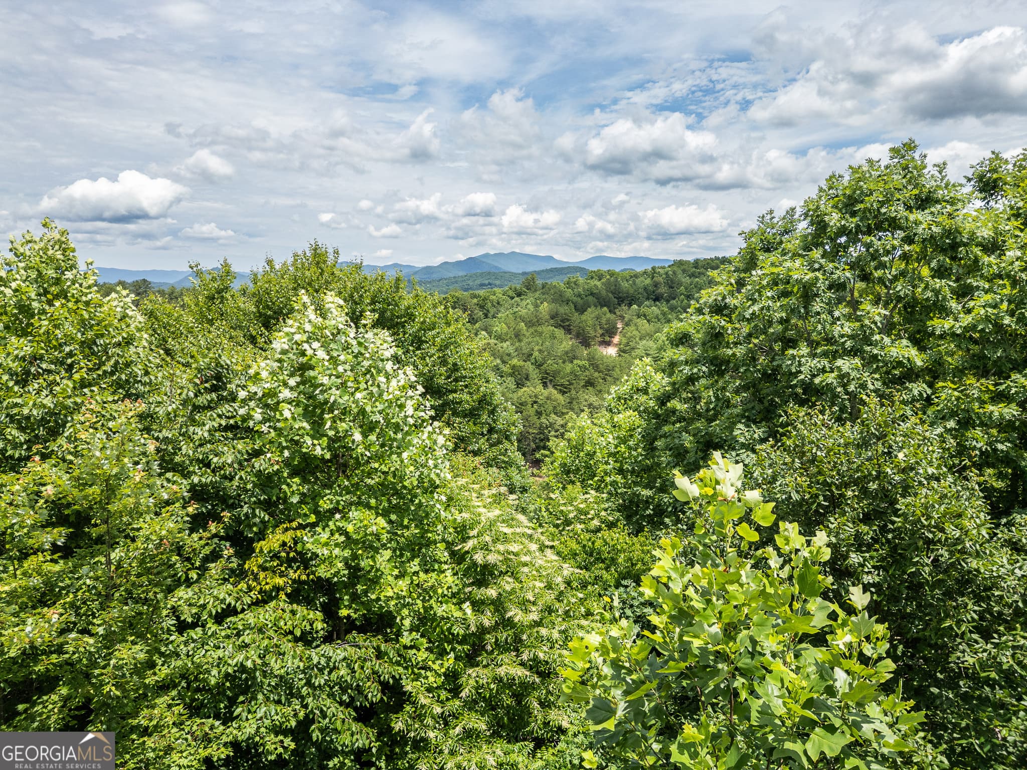 residential lot for sale at LT 2 Stormy Ridge, Brasstown, NC 28902 — photo 9