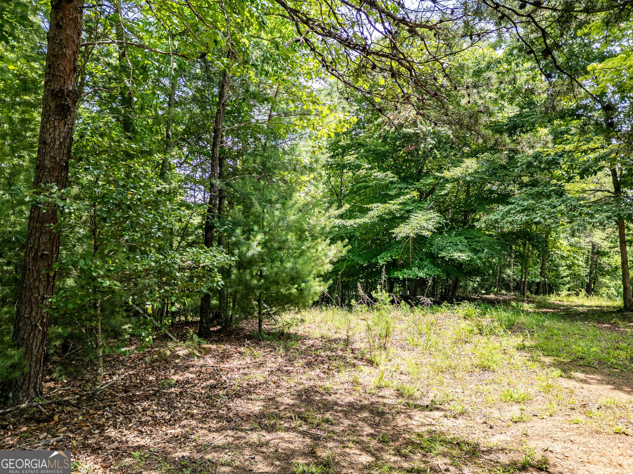 residential lot for sale at LT 2 Stormy Ridge, Brasstown, NC 28902 — photo 4