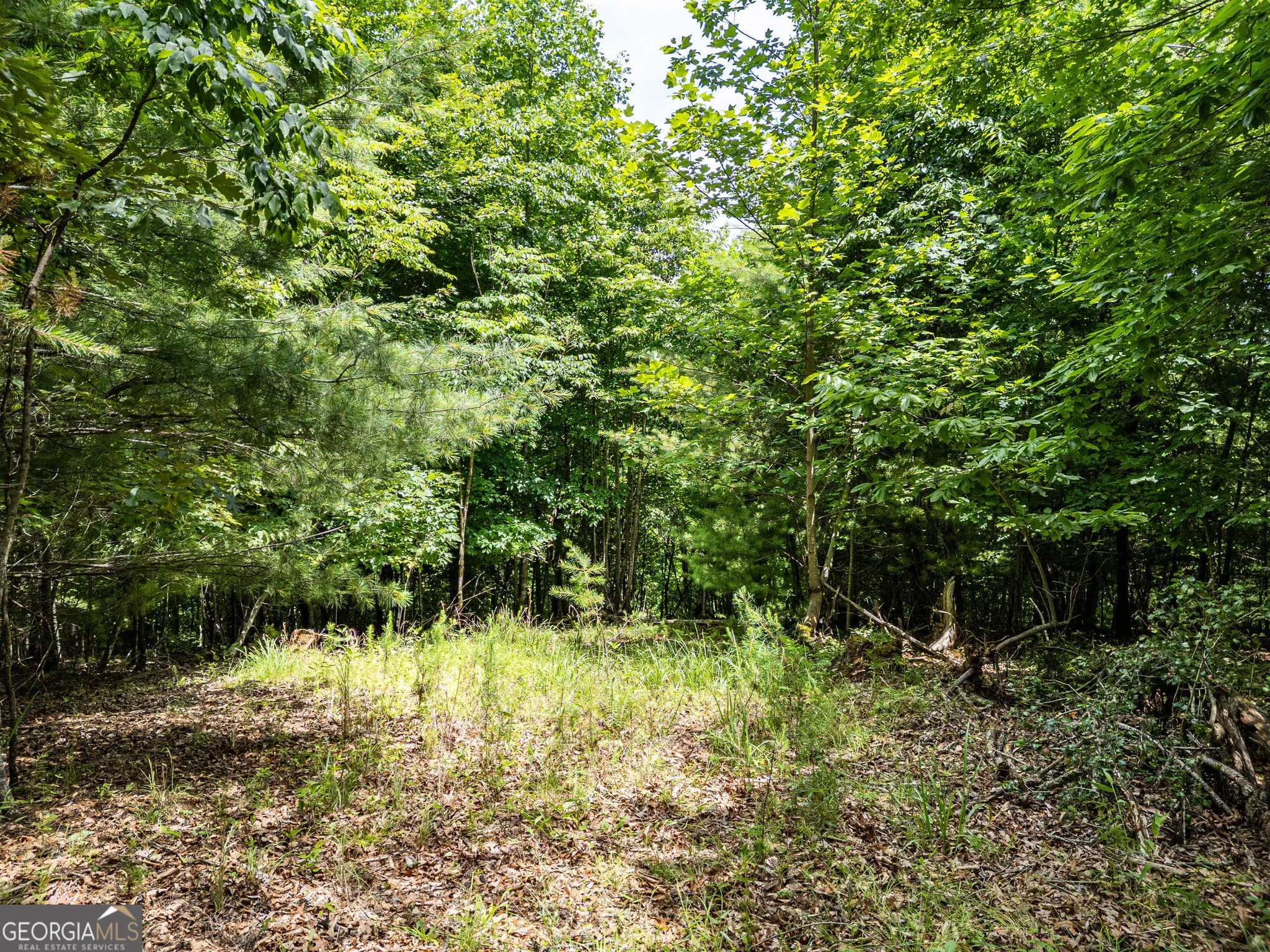 residential lot for sale at LT 2 Stormy Ridge, Brasstown, NC 28902 — photo 8