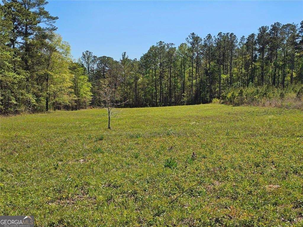 unimproved land for sale at 0 Butler Road, Franklin, GA 30217 — photo 2