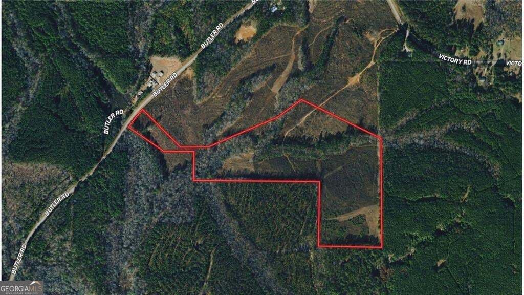 unimproved land for sale at 0 Butler Road, Franklin, GA 30217 — photo 6