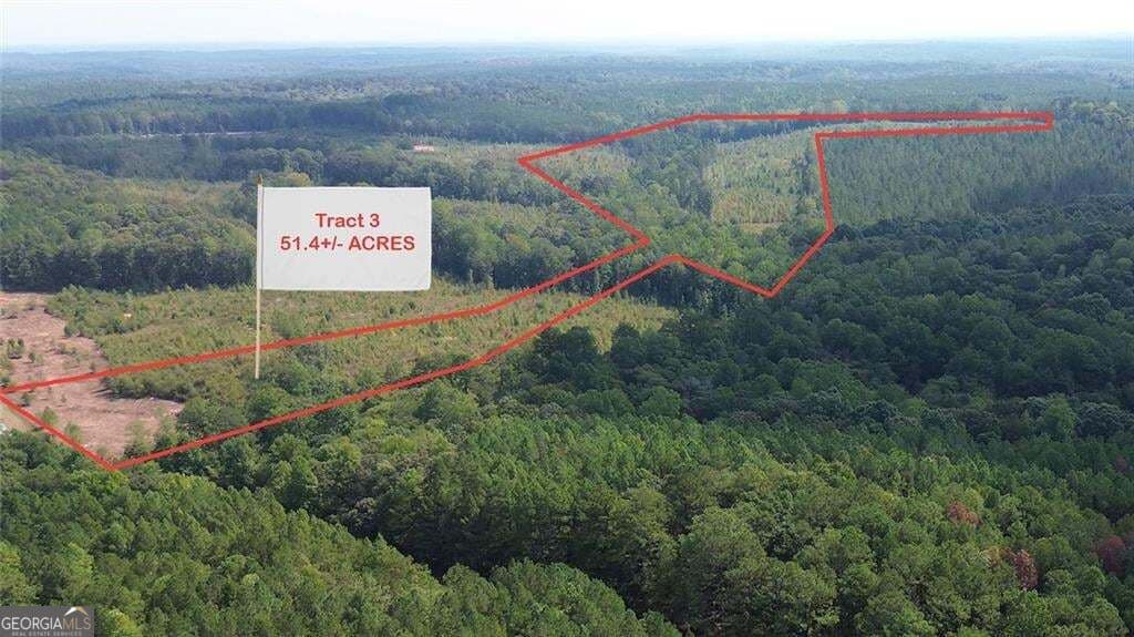 unimproved land for sale at 0 Butler Road, Franklin, GA 30217 — photo 7