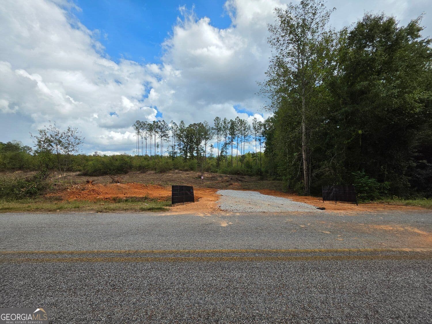 unimproved land for sale at 0 Butler Road, Franklin, GA 30217 — photo 3
