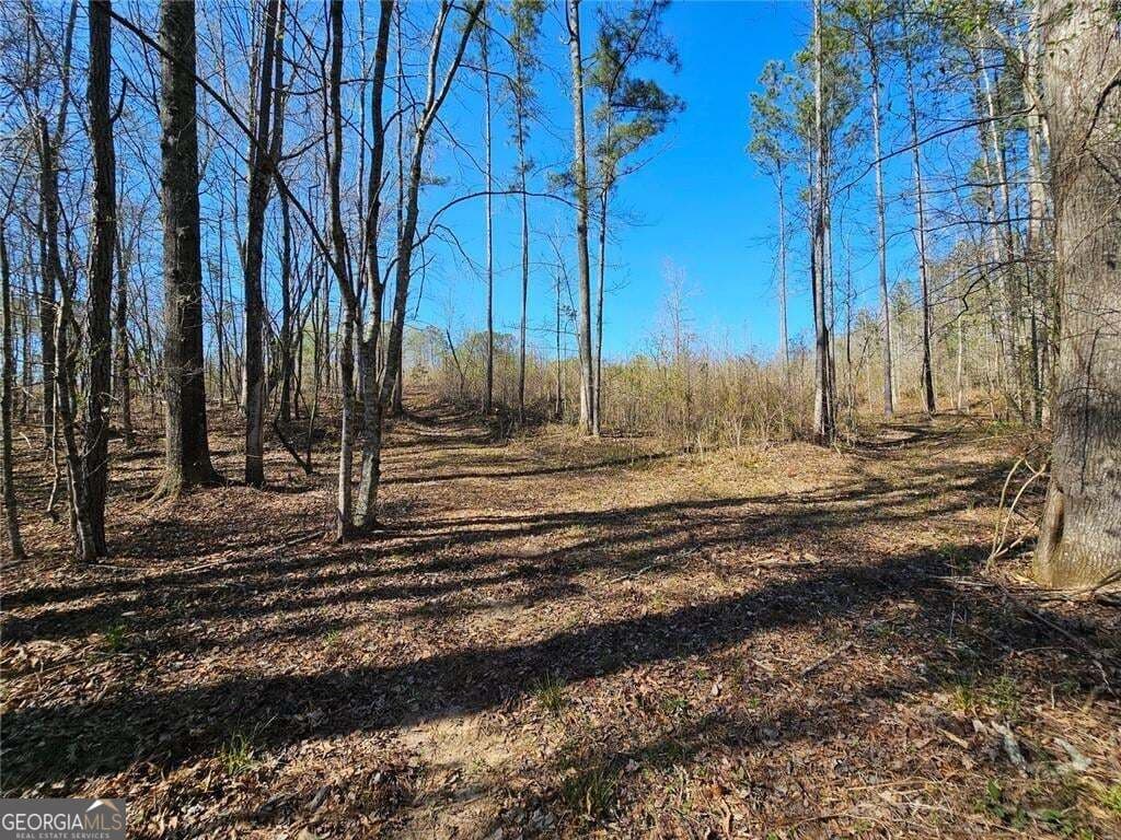 unimproved land for sale at 0 Butler Road, Franklin, GA 30217 — photo 1 of 22