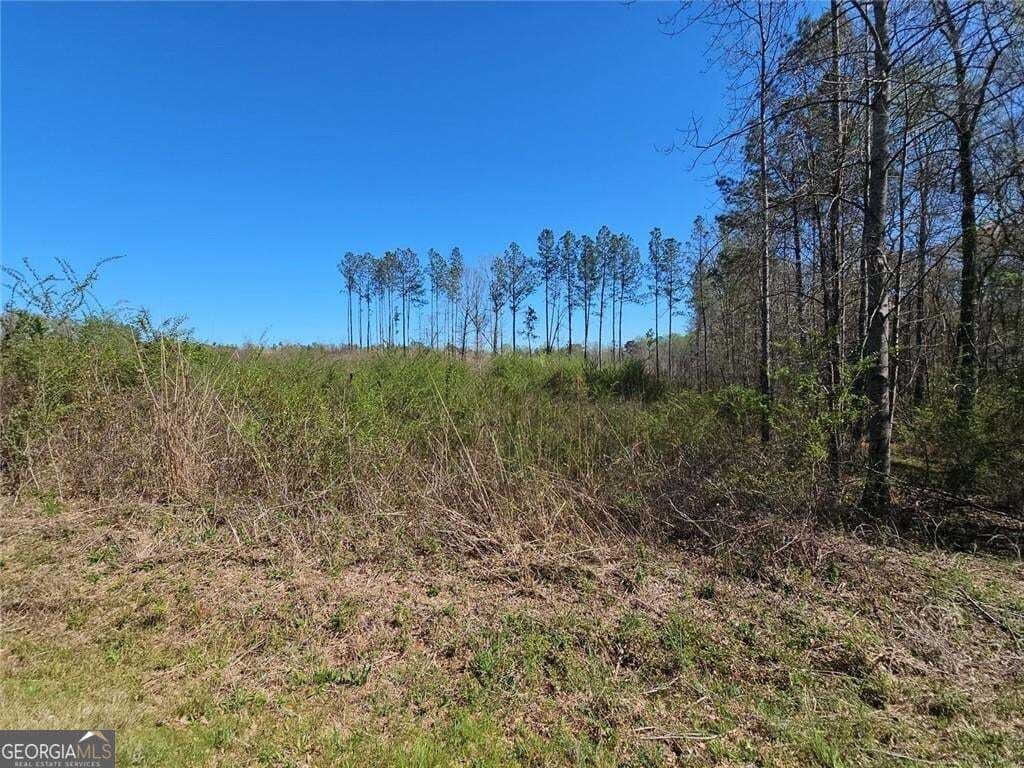 unimproved land for sale at 0 Butler Road, Franklin, GA 30217 — photo 5