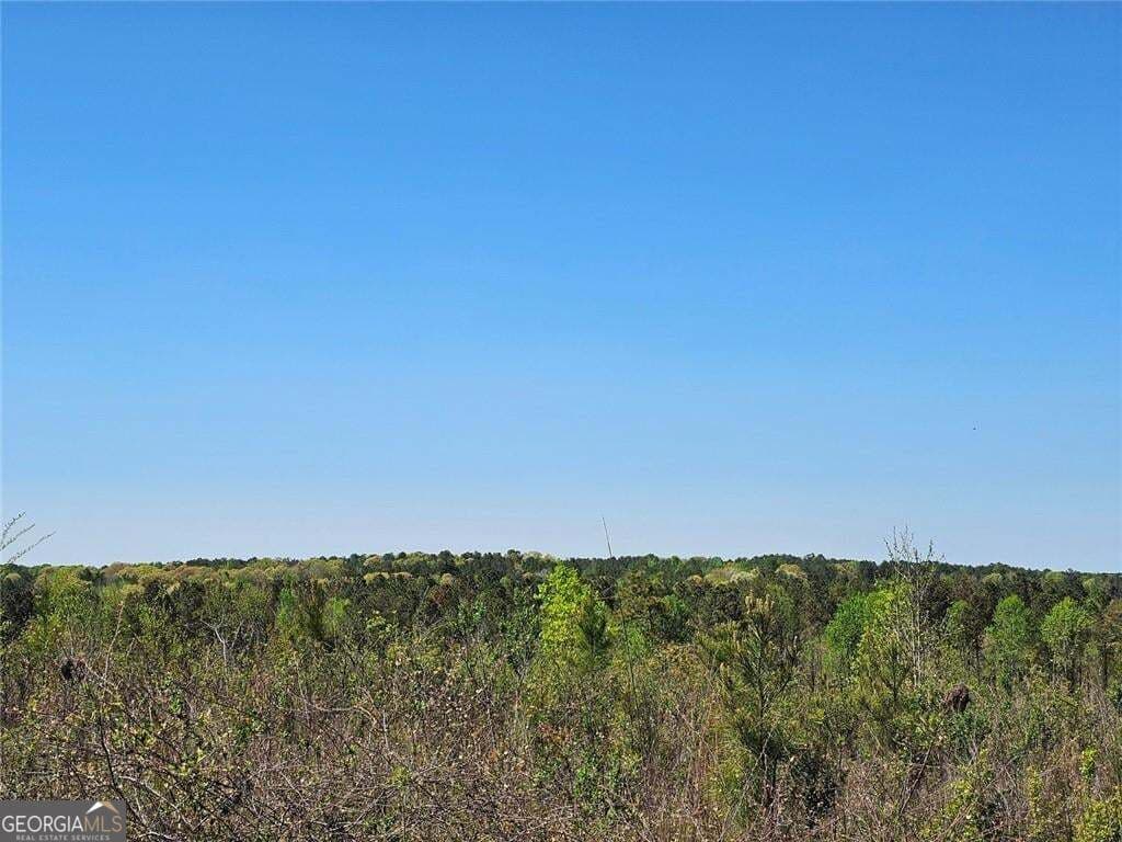 unimproved land for sale at 0 Butler Road, Franklin, GA 30217 — photo 9