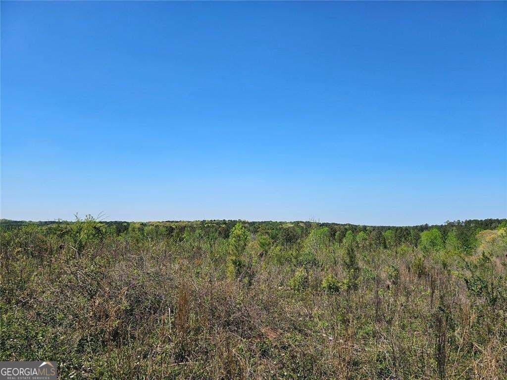 unimproved land for sale at 0 Butler Road, Franklin, GA 30217 — photo 10