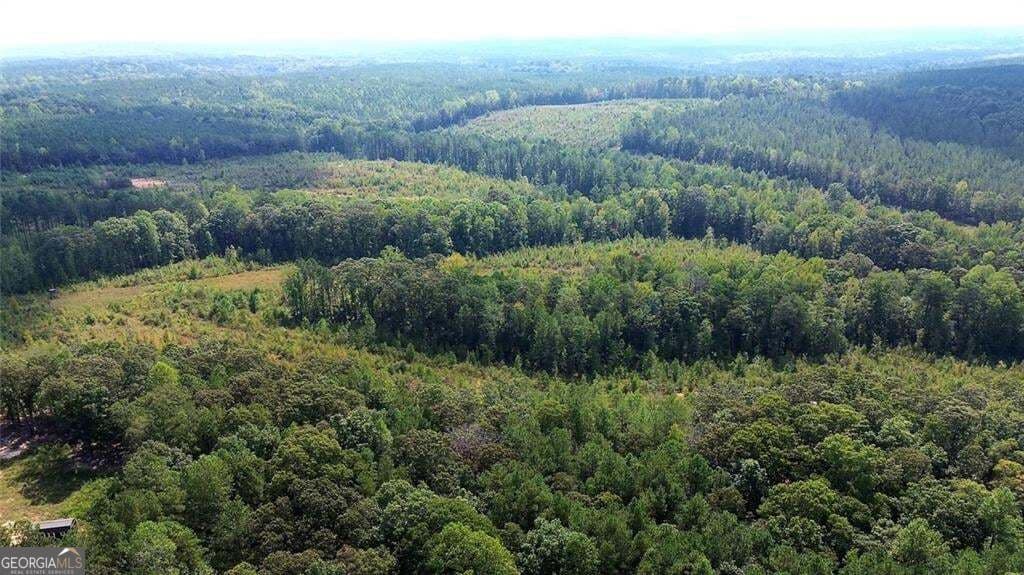 unimproved land for sale at 0 Butler Road, Franklin, GA 30217 — photo 8