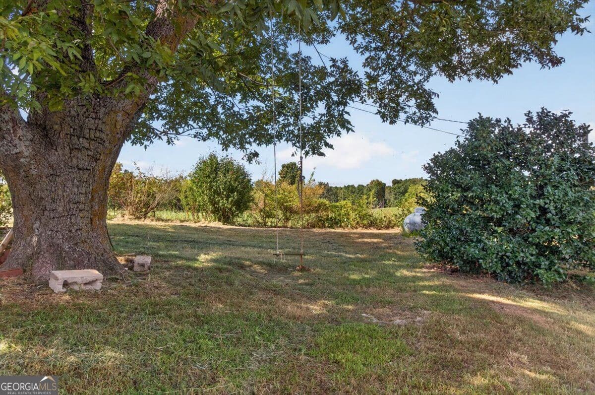 agriculture for sale at 5508 Highway 53, Jasper, GA 30143 — photo 7