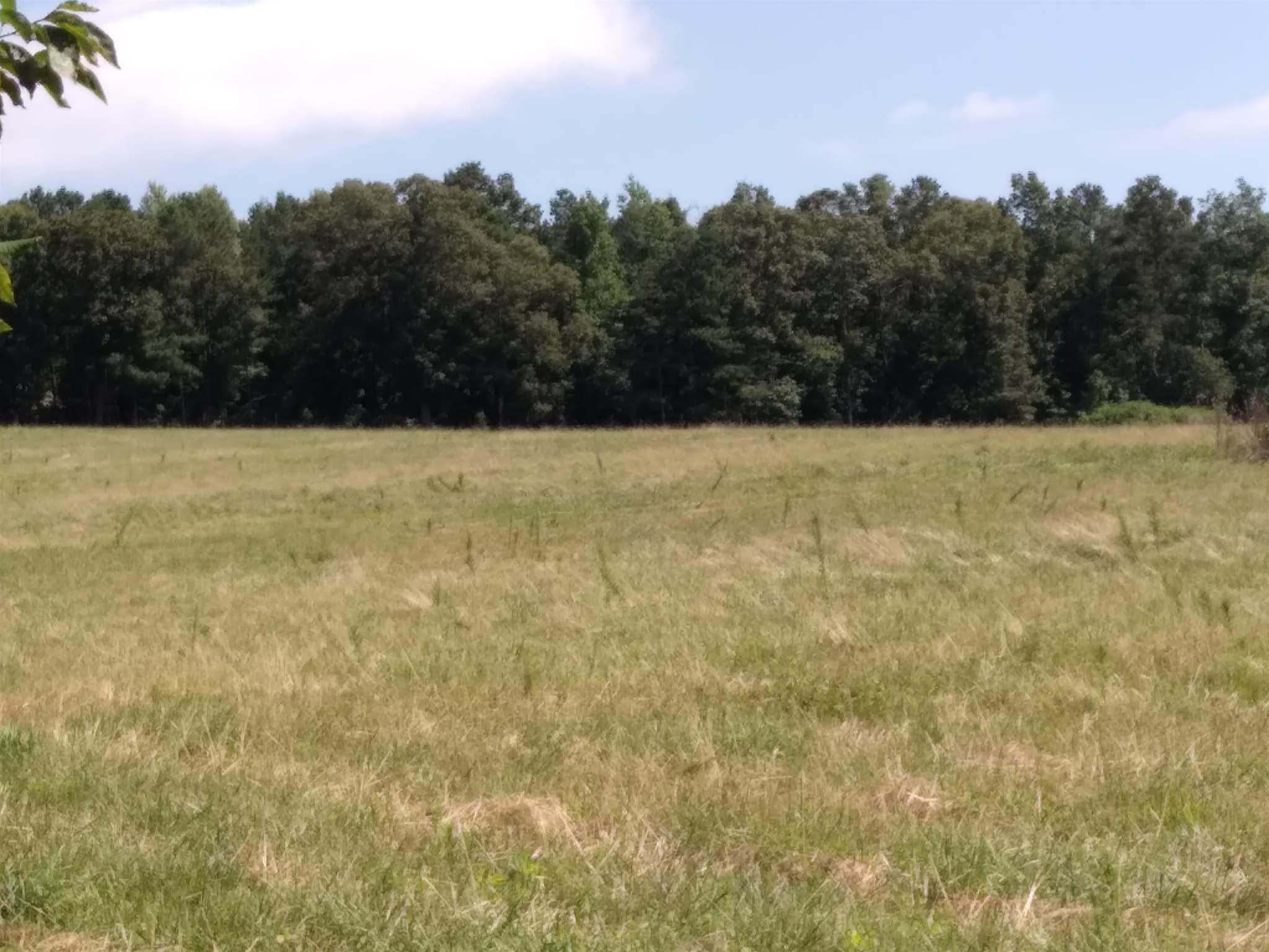 agriculture sold at 1280 Co Rd 667, Muscadine, AL 36269