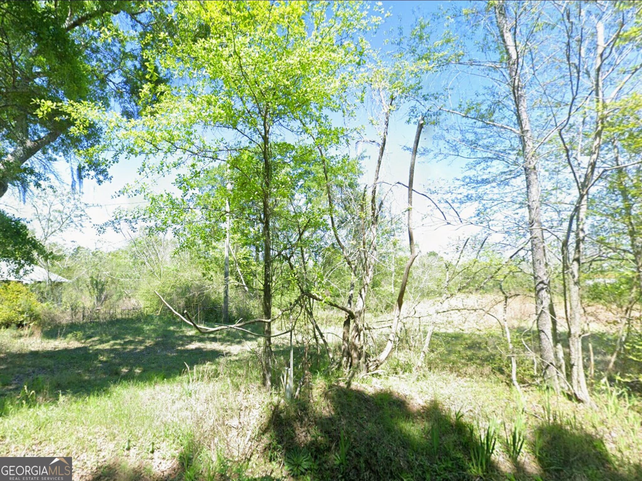 residential lot for sale at 907 County Line Road, Hahira, GA 31632 — photo 6
