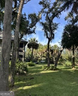 4 bedroom, 4.5 bathroom, 4,789 sq ft single family residence under contract at 150 Dark Creek Lane, Brunswick, GA 31525 — photo 3