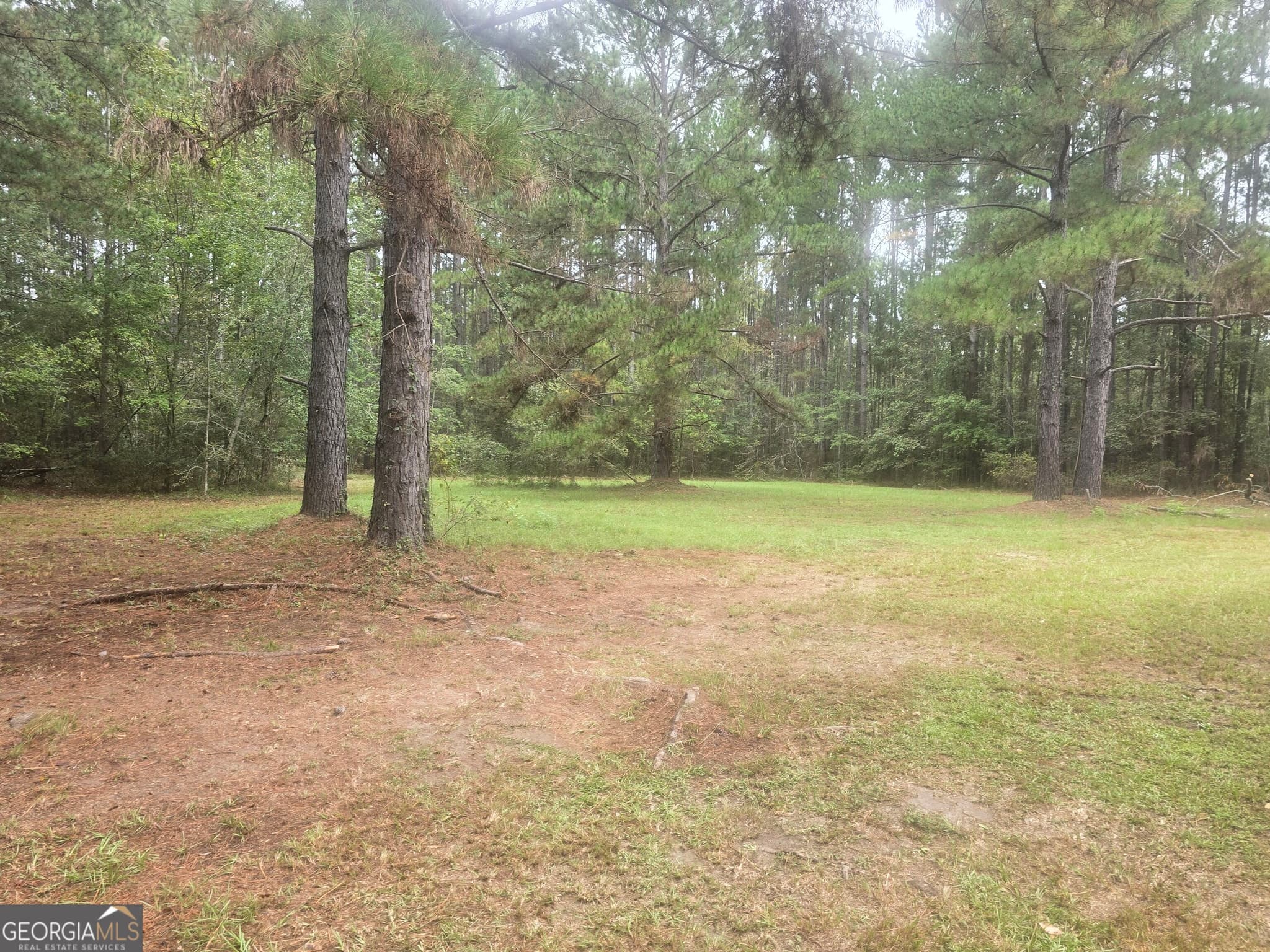 4 bedroom, 2 bathroom, 2,560 sq ft manufactured home,single family residence for sale at 1737 Brook Run Drive, Register, GA 30452 — photo 2