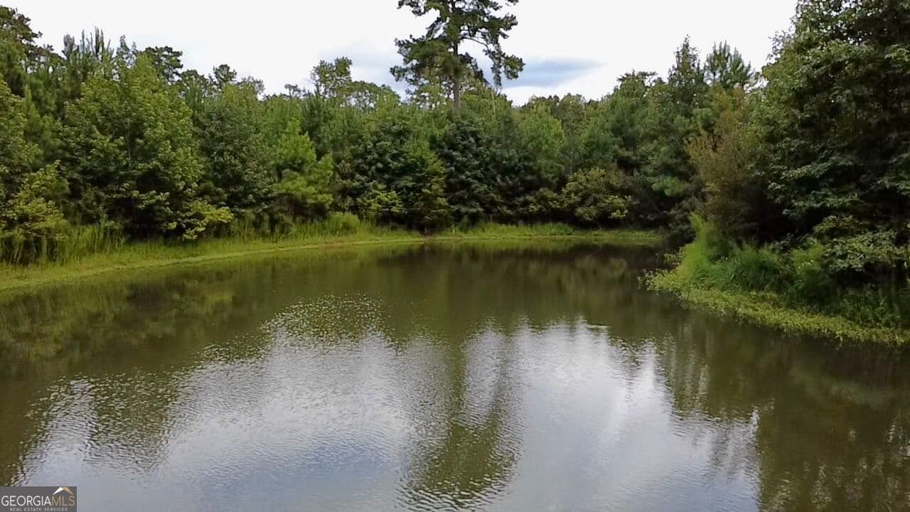 2 bedroom, 1 bathroom, 728 sq ft manufactured home,single family residence under contract at 807 Aden Lanier Road, Statesboro, GA 30458 — photo 10