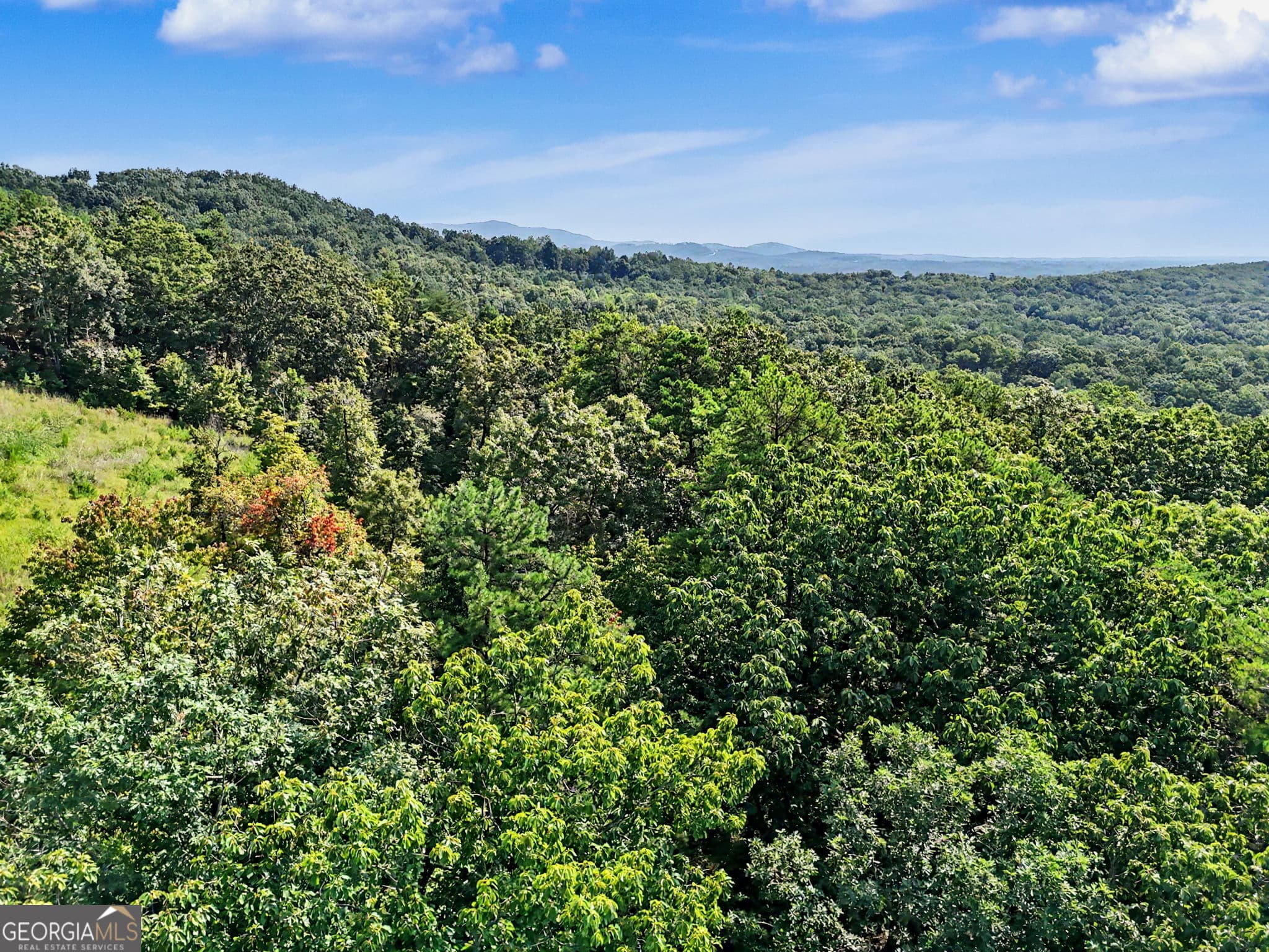 unimproved land for sale at 0 Piedmont Mountain Road, Clarkesville, GA 30523 — photo 2
