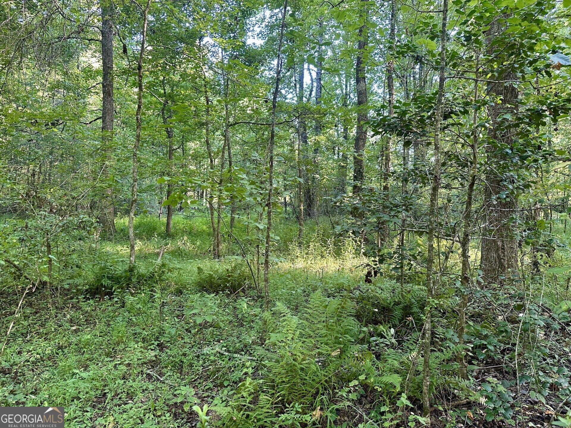 unimproved land for sale at 0 Piedmont Mountain Road, Clarkesville, GA 30523 — photo 6