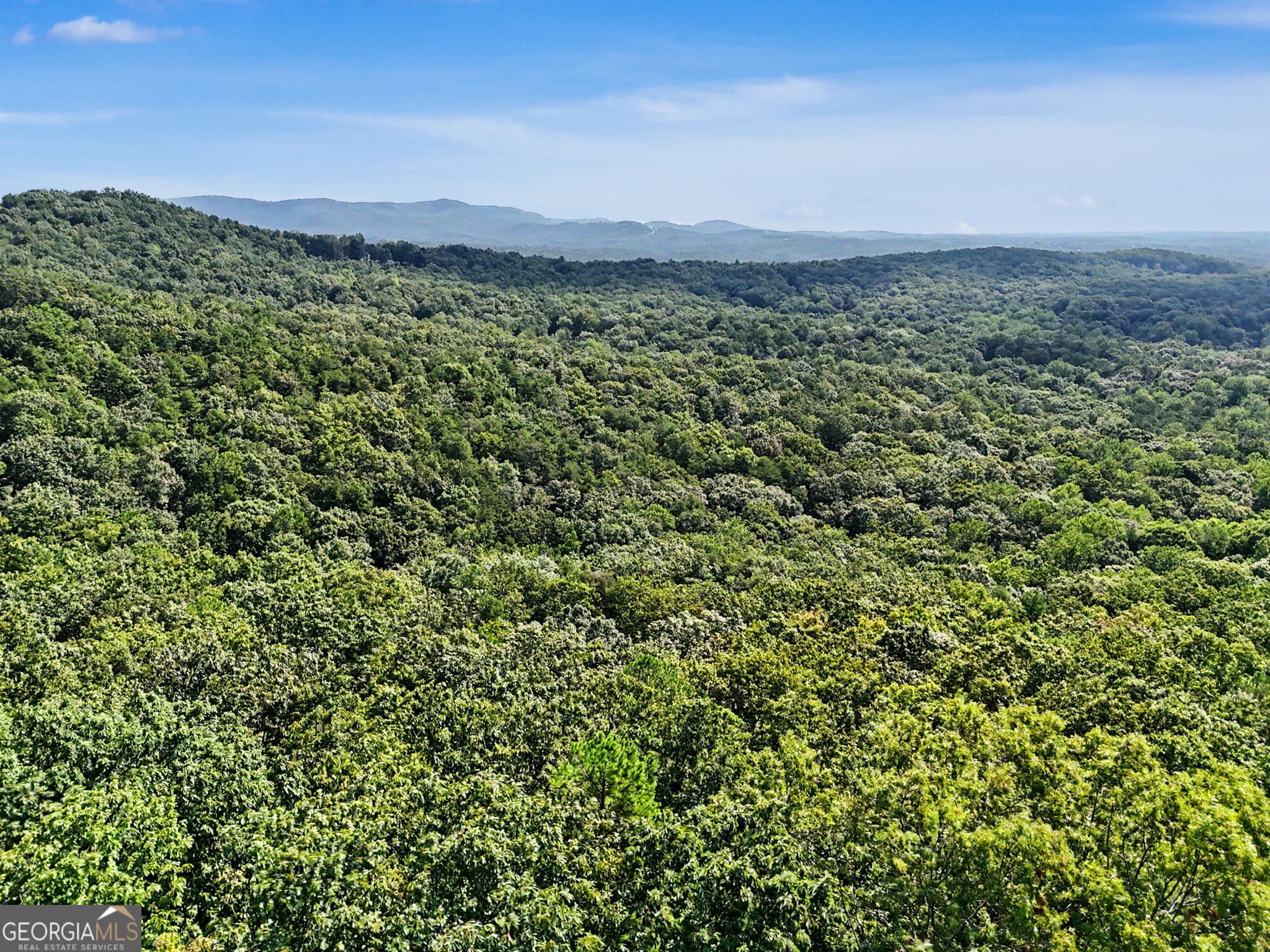 unimproved land for sale at 0 Piedmont Mountain Road, Clarkesville, GA 30523 — photo 3