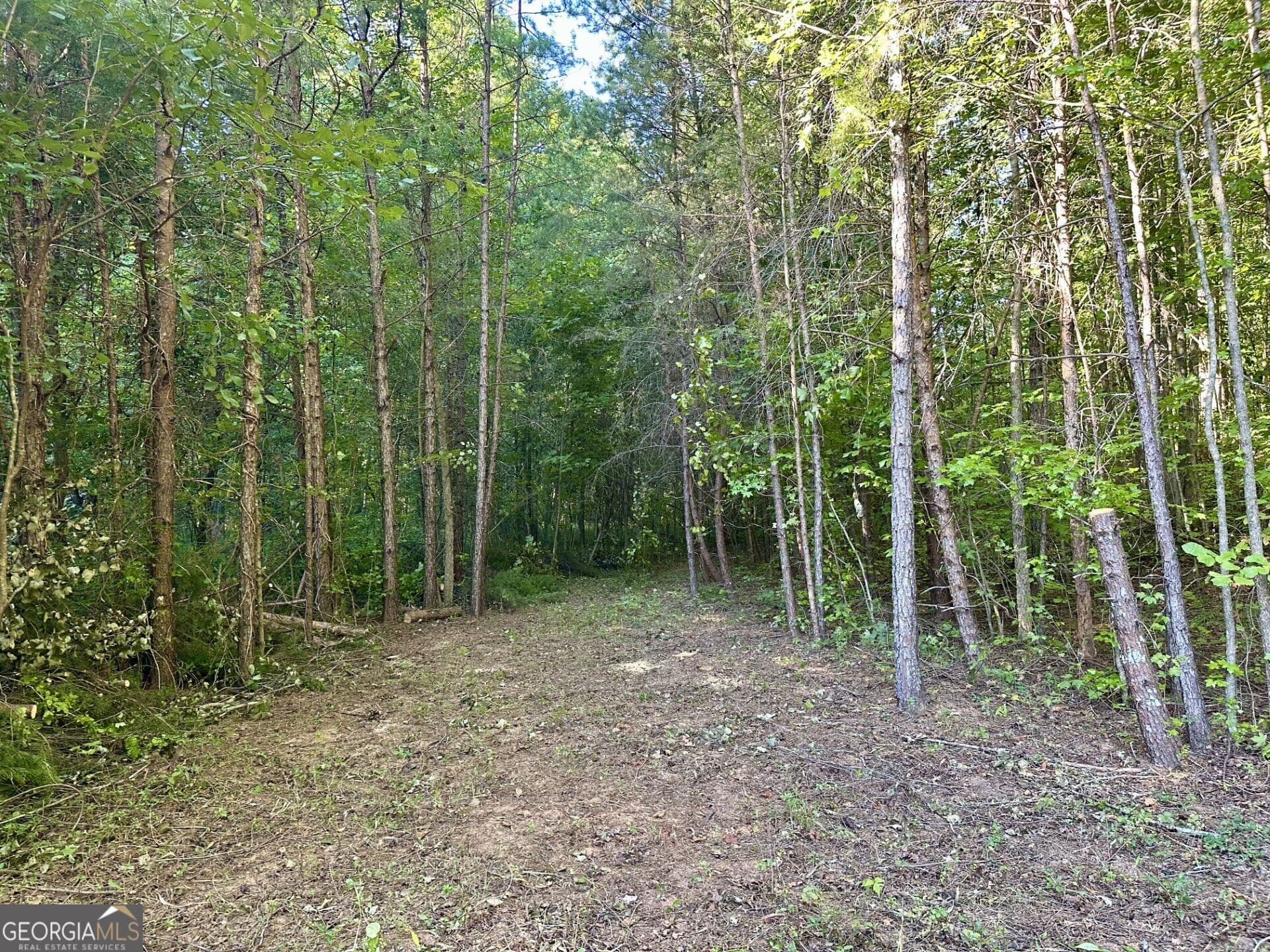 unimproved land for sale at 0 Piedmont Mountain Road, Clarkesville, GA 30523 — photo 5